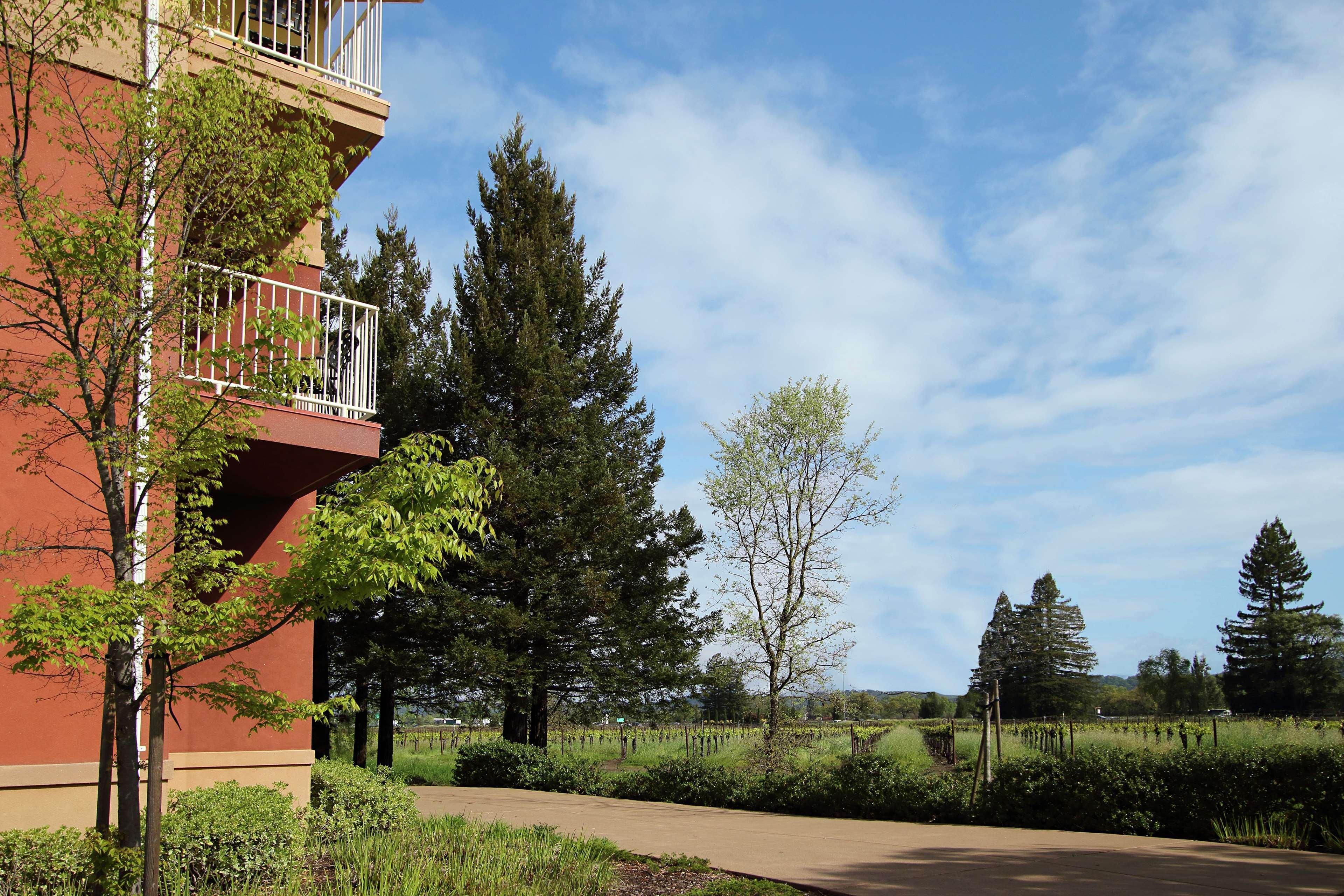 Hilton Garden Inn Sonoma County Airport Santa Rosa Buitenkant foto