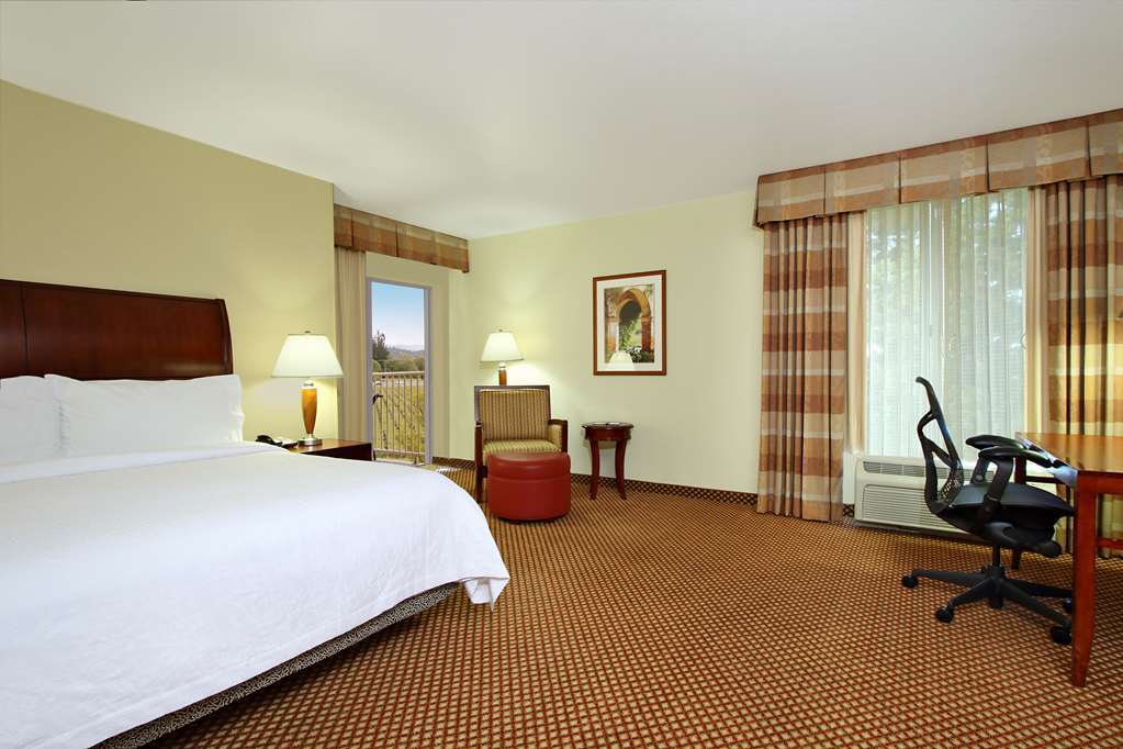 Hilton Garden Inn Sonoma County Airport Santa Rosa Kamer foto
